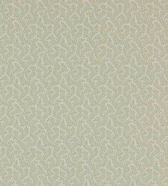 Обои Colefax and Fowler Small Design Wallpapers II 07985-07 изображение 1