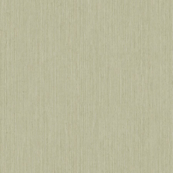 Обои Caselio Matieres 106017004 изображение 1