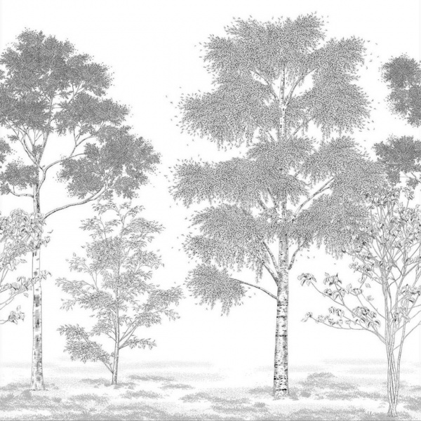 Обои Caselio Balade 106169006 изображение 1