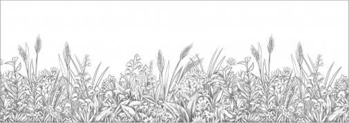 Обои Caselio Kitchen Box 106960936 изображение 1