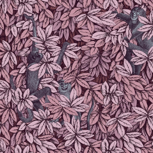 Обои Cole & Son Fornasetti Senza Tempo 2 123-10048 изображение 1