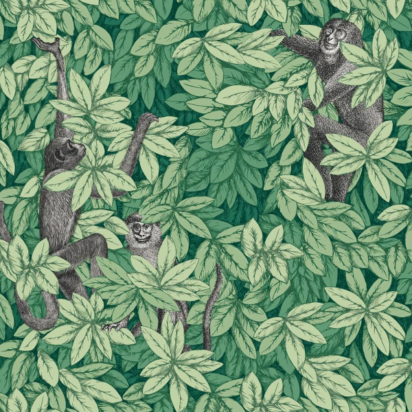 Обои Cole & Son Fornasetti Senza Tempo 2 123-10049 изображение 1