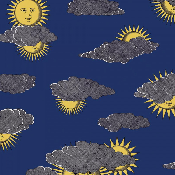 Обои Cole & Son Fornasetti Senza Tempo 2 123-2006 изображение 1