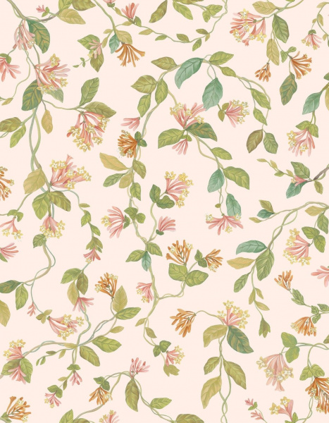 Обои Cole & Son Hummingbirds Cream 124-3016 изображение 1