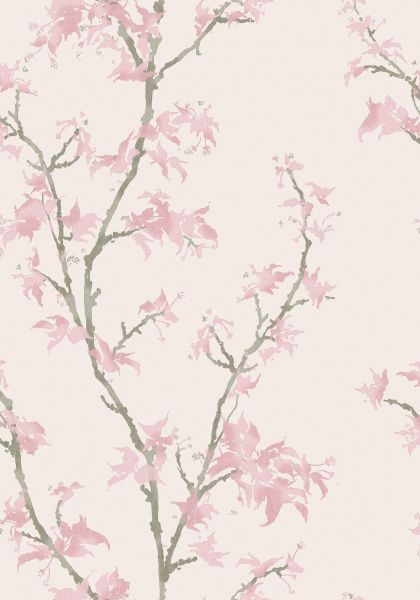 Обои Cole & Son Classics Vol. 2 128-3015 изображение 1