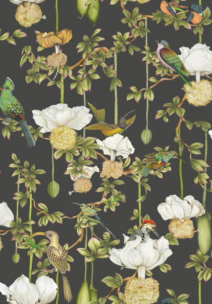 Обои Cole & Son Baobab 129-2009 изображение 1