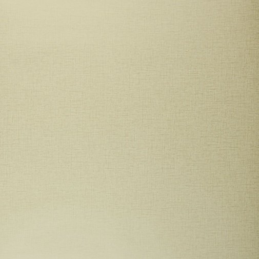 Обои Clarke & Clarke Showstoppers W0006-25 изображение 1