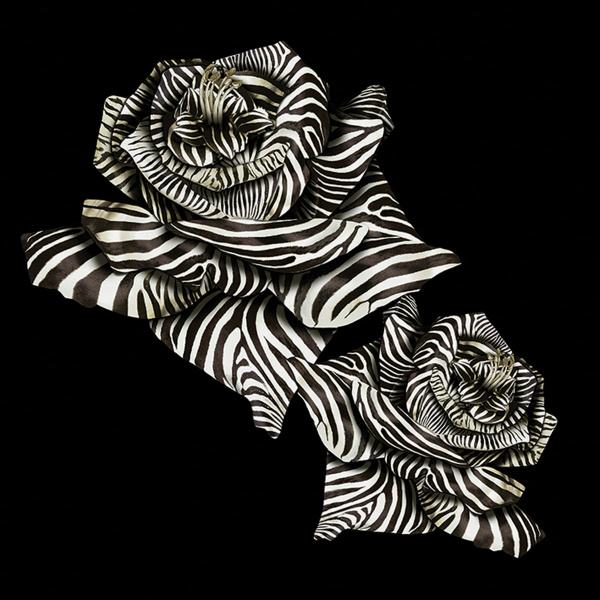 Обои Roberto Cavalli Home 9 19116 изображение 1