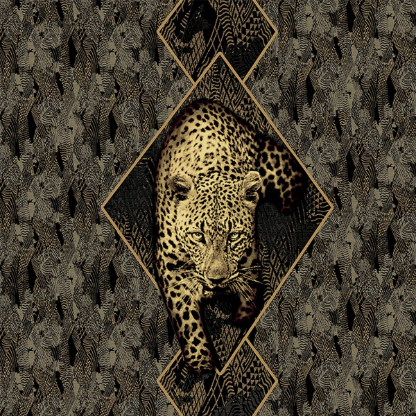 Обои Roberto Cavalli Home 9 19120 изображение 1