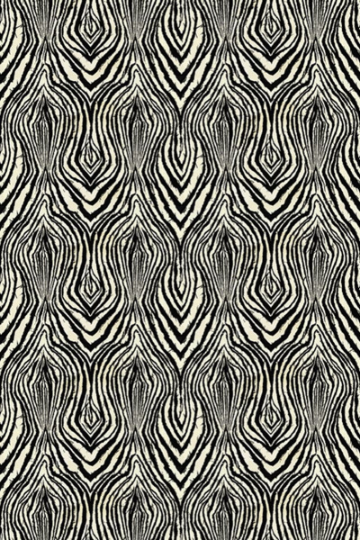 Обои Roberto Cavalli Home 9 19129 изображение 1