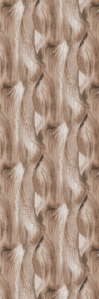 Обои Roberto Cavalli Home 9 19212 изображение 1