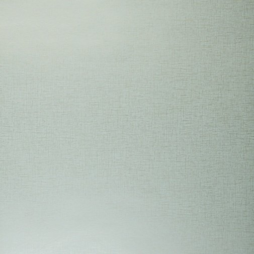 Обои Clarke & Clarke Showstoppers W0006-19 изображение 1