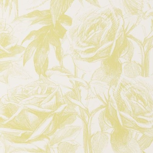 Обои Clarke & Clarke Floribunda W0037-08 изображение 1