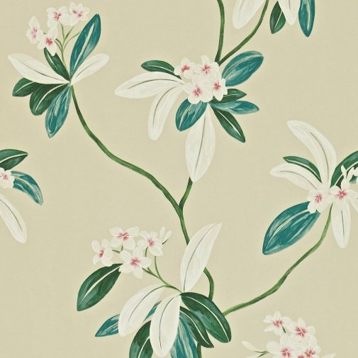 Обои Sanderson Richmond Hill DRCH212131 изображение 1