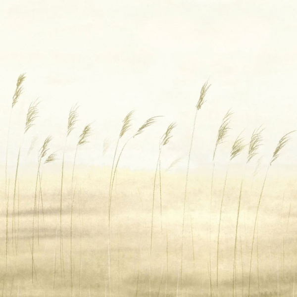 Обои Casadeco Sentier Des Dunes 200082703 изображение 1