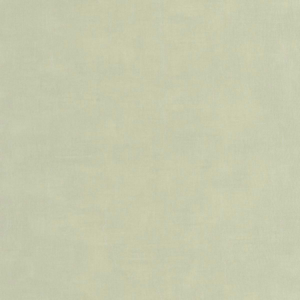 Обои Casadeco Etamine 200257227 изображение 1