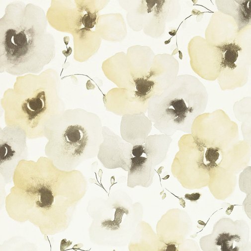 Обои Sanderson Colour for Living DCFL211657 изображение 1