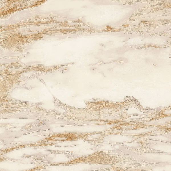 Обои Roberto Cavalli Home 9 RC21024 изображение 1