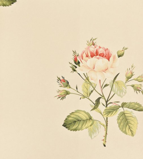 Обои Sanderson Classic Collection 2 DCLAER-101 изображение 1