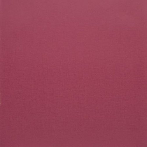 Обои Clarke & Clarke Showstoppers W0006-02 изображение 1