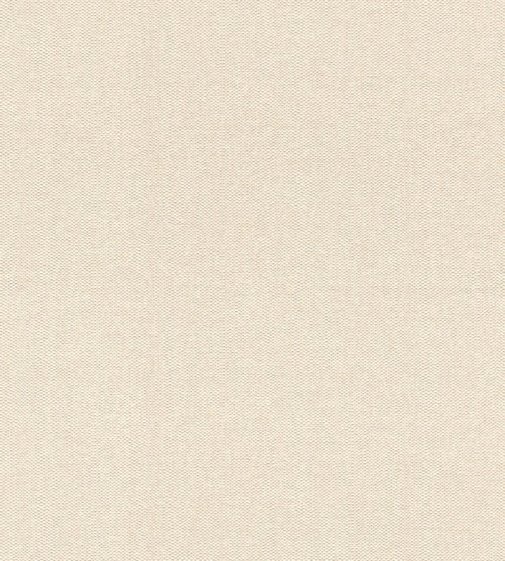 Обои Rasch Abaca 229249 изображение 1