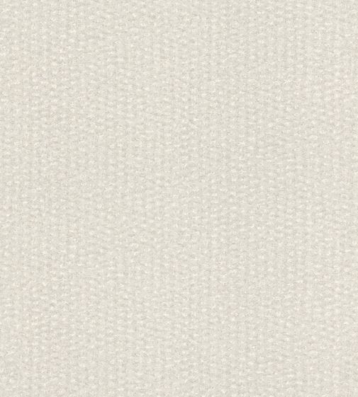 Обои Rasch Abaca 229317 изображение 1