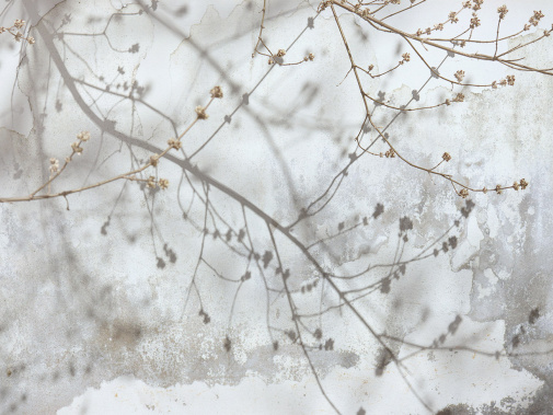 Фрески Wall Street Фрески 25344 изображение 1