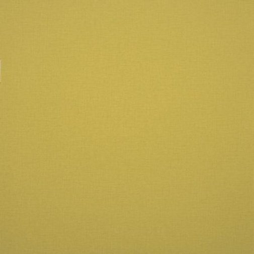 Обои Clarke & Clarke Showstoppers W0006-13 изображение 1