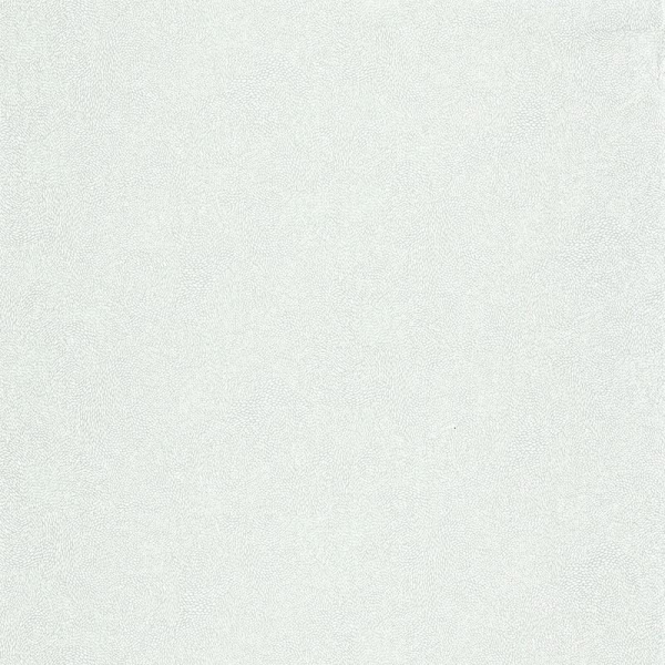 Обои Caselio Color Box 3 3101847028 изображение 1