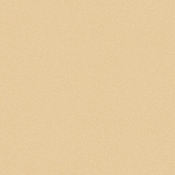 Обои Caselio Color Box 3 3102231127 изображение 1