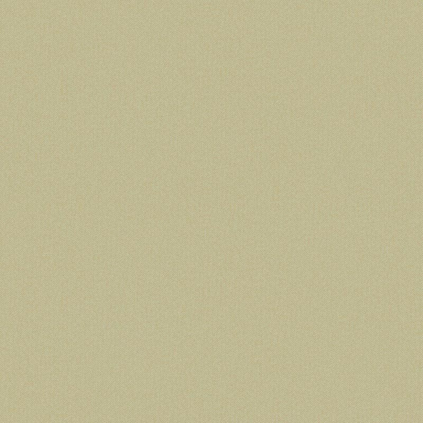 Обои Caselio Color Box 3 3102237022 изображение 1