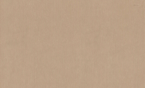 Обои Emiliana Parati Blumarine 6 31051BM изображение 1