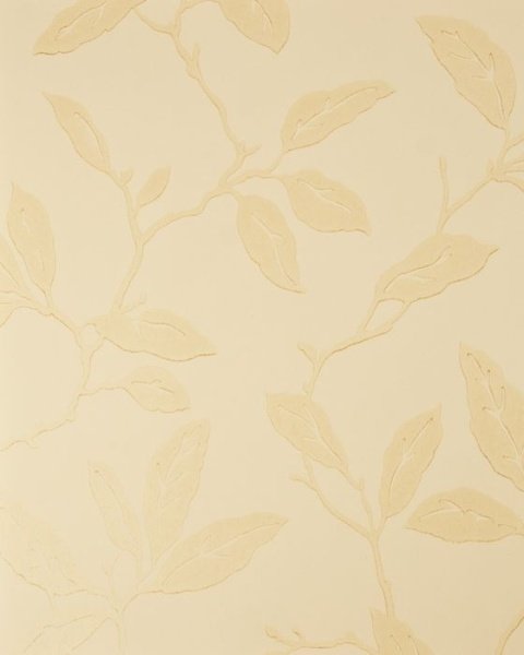 Обои Sanderson Classic Collection 2 DCLAGL-103 изображение 1