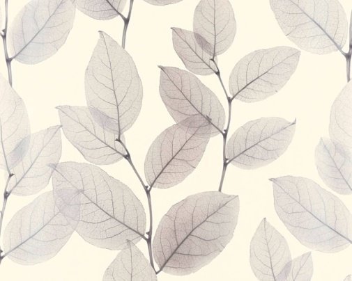 Обои A.S. Creation X-ray 34247-2 изображение 1