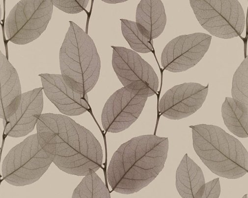 Обои A.S. Creation X-ray 34247-5 изображение 1