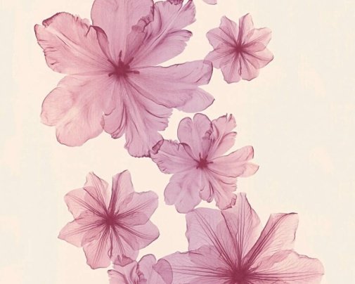 Обои A.S. Creation X-ray 34272-3 изображение 1