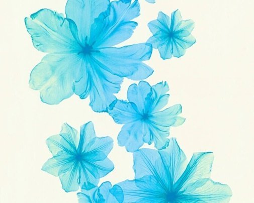 Обои A.S. Creation X-ray 34272-5 изображение 1