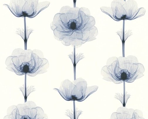 Обои A.S. Creation X-ray 34273-1 изображение 1