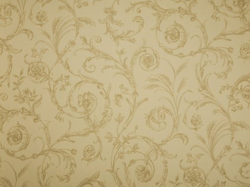 Обои Sanderson Toile Collection DEGTSC105 изображение 1