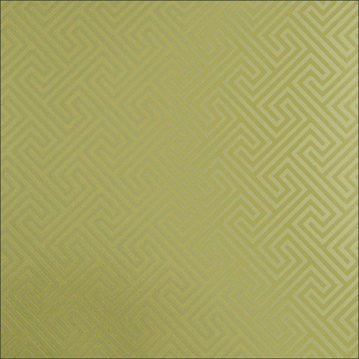 Обои Clarke & Clarke Viva W0013-01 изображение 1