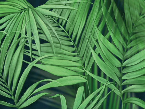 Фрески Ortograf It`s jungle 35076 изображение 1
