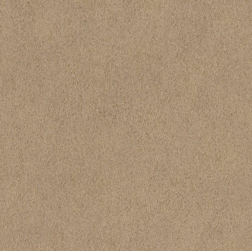 Обои Rasch African Queen II 422696 изображение 1