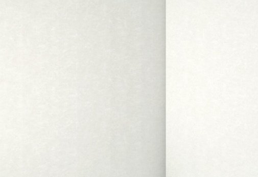 Обои Sirpi Muralto Pisa 21036 изображение 1