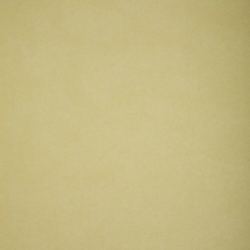 Обои Sanderson Parchment Flowers DPFWPP103 изображение 1