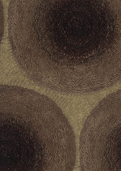 Обои Quarta Parete Hemera HM17143 изображение 1