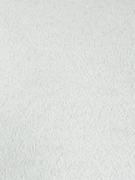 Обои NC Antivandal 4010-32 изображение 1