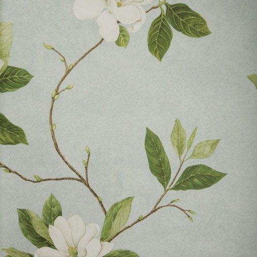 Обои Sanderson Parchment Flowers DPFWSW101 изображение 1