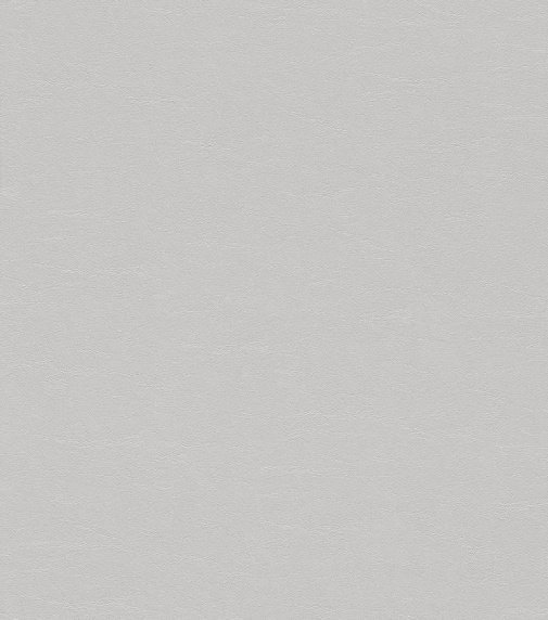 Обои Rasch African Queen II 474244 изображение 1