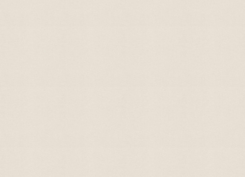 Обои Rasch Beltesto 448504 изображение 1