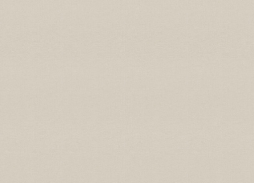 Обои Rasch Beltesto 448634 изображение 1